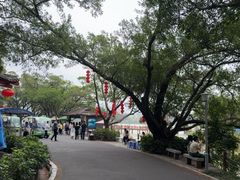 -星湖旅游景区七星岩