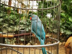 -南宫五洲植物乐园