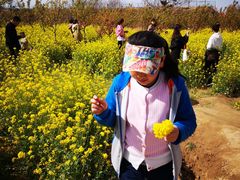 -古柏渡飞黄旅游区