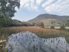 -八卦田遗址公园