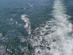 -广州市流溪河国家森林公园