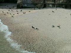 android_upload_pic-海驴岛(荣成市)