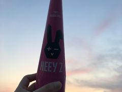 -顽啤熊·酒客酒馆(苏城夜景必选店)