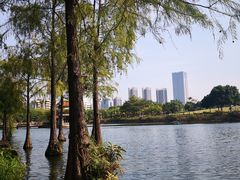 -深圳龙潭公园