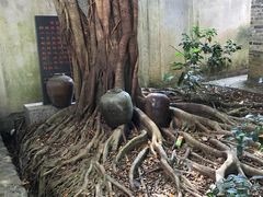 -语堂故居