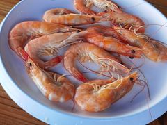 -蓝湾碧波·老字号·疍家非遗海上餐厅