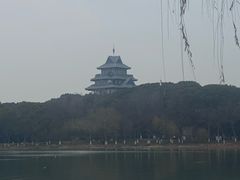 -金鸡湖桃花岛