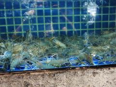 -徐记海鲜(梅溪新天地店)