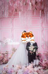 -保定巴黎婚纱摄影