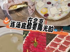 -鲜潭蒸汽石锅鱼(五道口购物中心店)