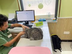 -瑞鹏宠物医院犬猫全科(真大分院)