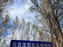 -沈阳鸟岛