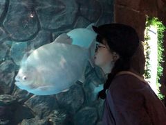 -多彩贵州城极地海洋世界