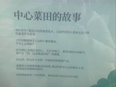 -田园东方蜜桃村的田野营地
