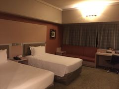 -新加坡乌节希尔顿酒店 (SG Clean)