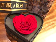 -BEAST野兽派(上海浦东嘉里城店)