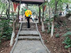 -善卷洞风景区