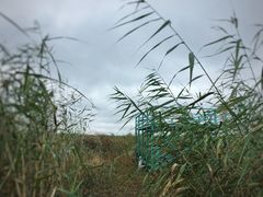 -鴜鹭湖生态旅游度假区