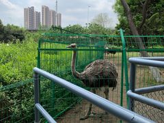 -长白岛森林公园