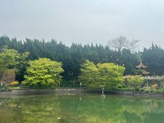 -嘉定紫藤园