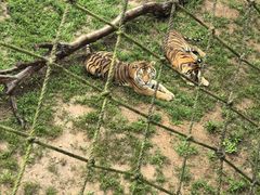 -西霞口神雕山野生动物世界