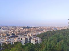-仙岳公园