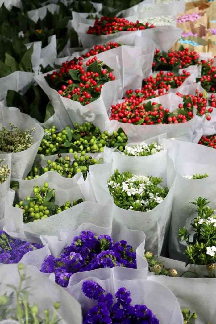 八卦岭花卉中心-"打卡啦打卡啦～一直在点评拉到别人的评语.