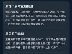 -仙岳公园
