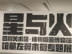 -四川美术馆