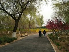 -永定河休闲森林公园