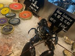 -Oyster Talks 四度蚝法餐厅