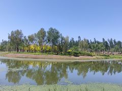-东郊湿地公园