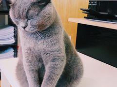 -壹人壹像工作室(购物公园店)