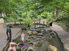 -成都市活水公园
