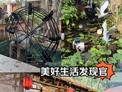 -园林美食城·本土农家菜(杨和镇店)