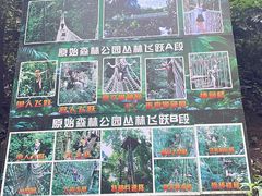 -西双版纳原始森林公园