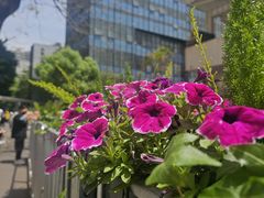 -深圳市人民医院(留医部)