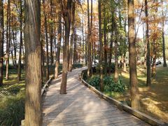 -月湖风景区