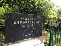 -莲湖公园