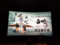 -武商摩尔影城(国广IMAX激光店)