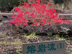 -海口火山口国家地质公园