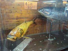 -南京金牛湖风景区