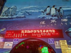 -蓬莱欧乐堡海洋极地世界