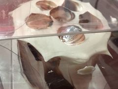 牛奶巧克力蛋糕-85度C(厦门台湾街店)