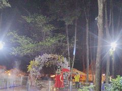 -二荆条·蜀鲜汇城市森林火锅