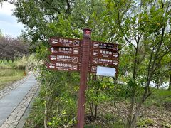 -苏州太湖国家湿地公园
