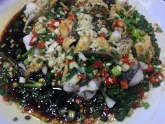-全乐鱼馆·淳牌有机鱼直营店