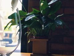 -SMOKI & CO(五大道店)