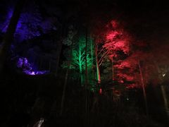 -花水湾第一村温泉大酒店