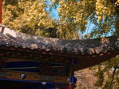 -岳麓山风景名胜区